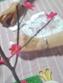 /album/fotogaleria-fotogaleria/a131390-4836002187264-1830562232-o-jpg/