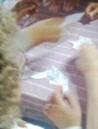 /album/fotogaleria-fotogaleria/a616012-4836001347243-1587189745-o-jpg/